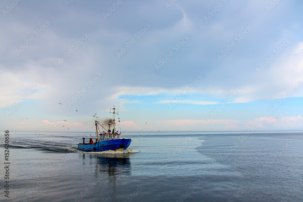 The fishing vessel seagulls escorted back to shore The fishing vessel seagulls escorted back to shore