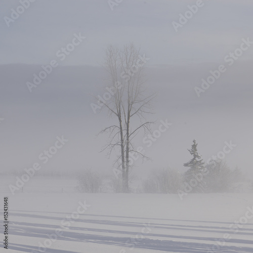 Snow covered road, British Columbia, Canada