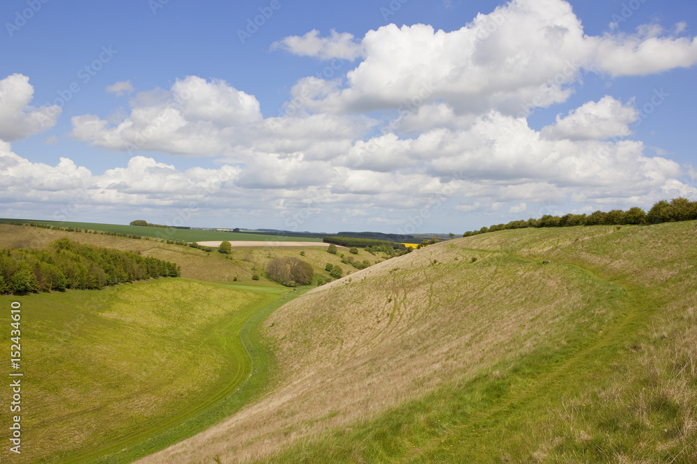 english valley in springtime