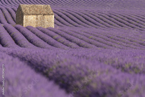 Valensole