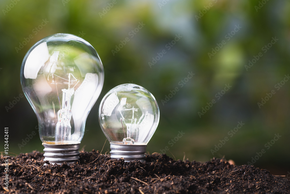 Big and Small Bulb Growing Big and Small Bulb Growing