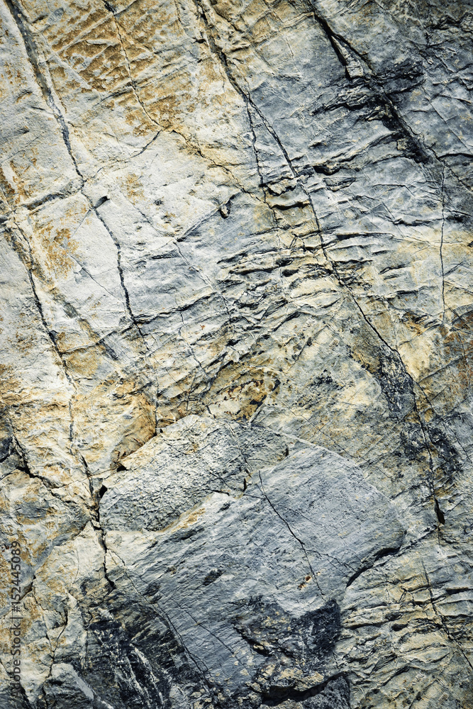 Abstract limestone stone detail Abstract limestone stone detail