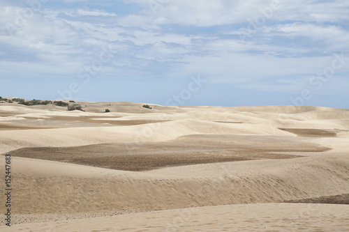 View towards the unusual sand formations  the Maspalomas Dunes  a popular landmark and tourist attraction  in Gran Canaria  Spain
