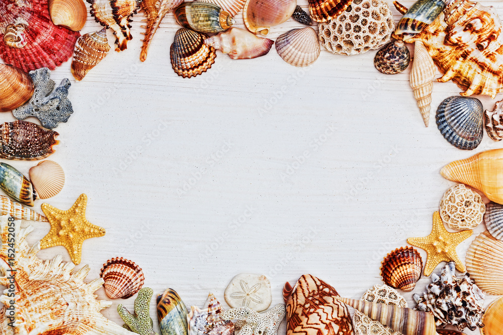 Fototapeta premium Wooden textured table with frame of sea shells