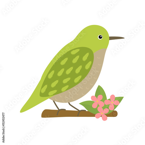Uguisu bird animal cartoon character