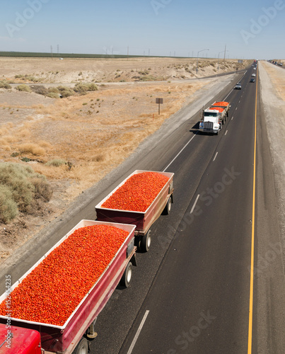 Bild auf Leinwand Roma Tomato Truckloads Travel Via Semi-Truck to Market