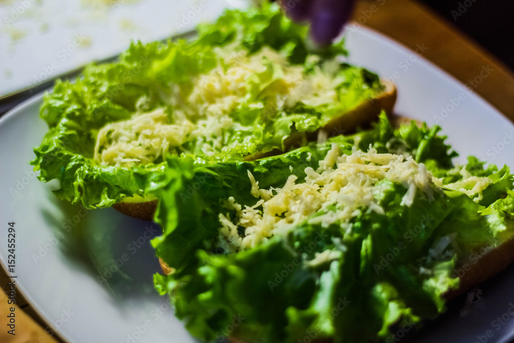 sandwich with cheese and salad sandwich with cheese and salad