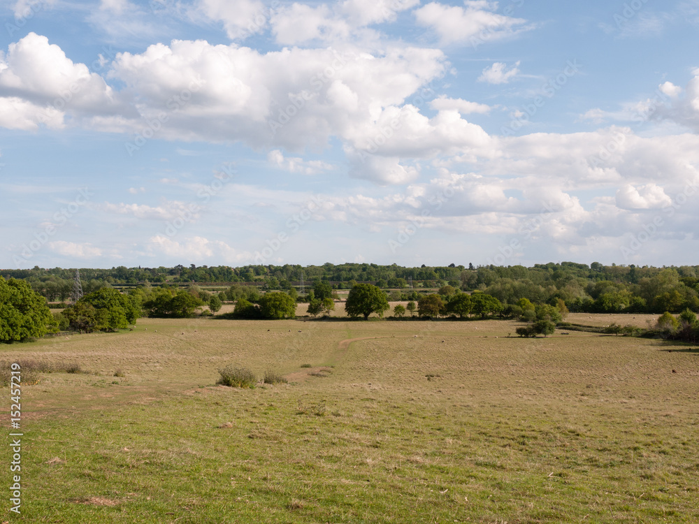 a big open bit of grassy countryside landscape with trees in the distance on a clear and cool summer's afternoon day serene and peaceful beauty a big open bit of grassy countryside landscape with trees in the distance on a clear and cool summer's afternoon day serene and peaceful beauty