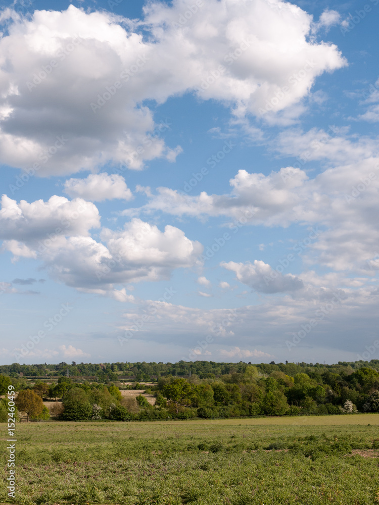 a vertical shot of a countryside scene with grass at the bottom and trees in the distance as well as a blue and white clouded and mostly clear sky above on a summer's day in essex england