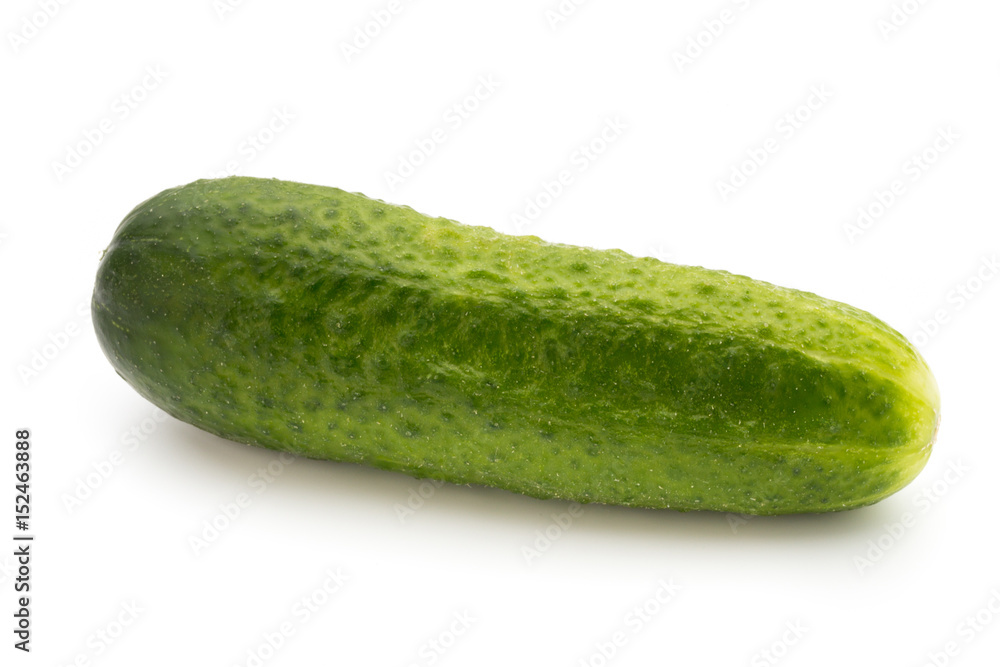 Eco cucumber on white background. Fresh vegetables. Eco cucumber on white background. Fresh vegetables.