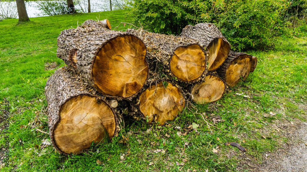 a bunch of logs