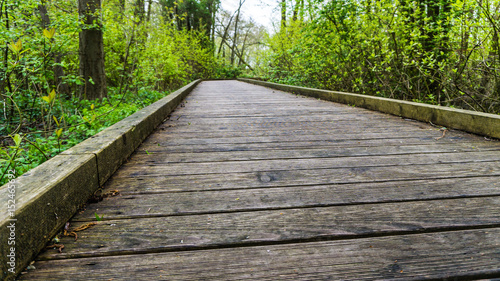 wooden footpath © hhandi77