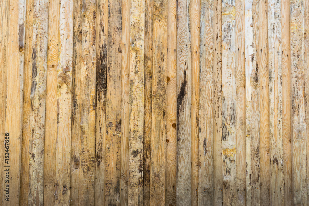 Obraz premium The texture of the wall made of wooden boards arranged vertically, the surface of the wood is poorly worked, many wood fibers and chips