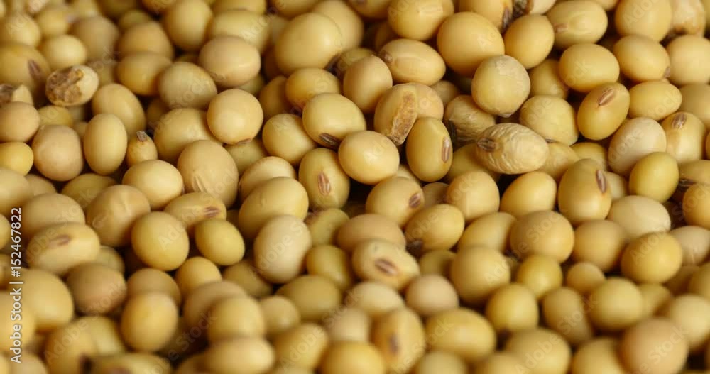 4k soybean beans closeup,seeds food raw material,delicious dishes seed bean. 4k soybean beans closeup,seeds food raw material,delicious dishes seed bean.