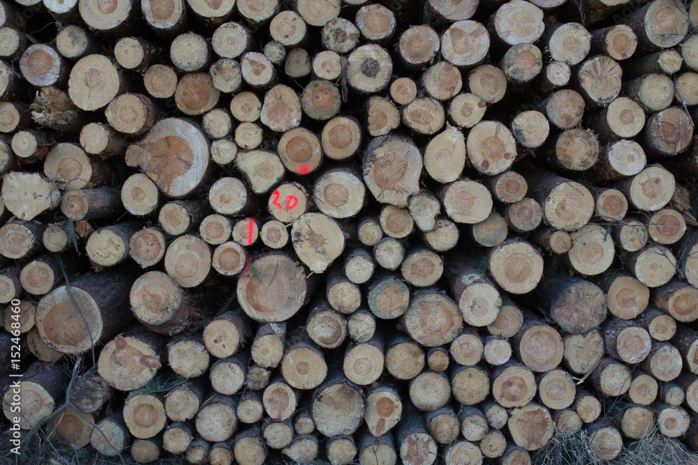 firewood stapled firewood stapled