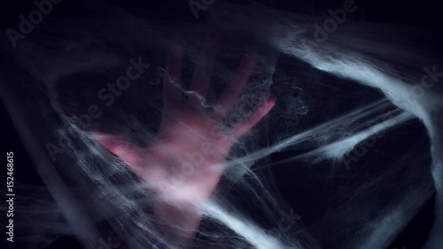 4K Halloween Horror Spider Web and Hand Silhouette