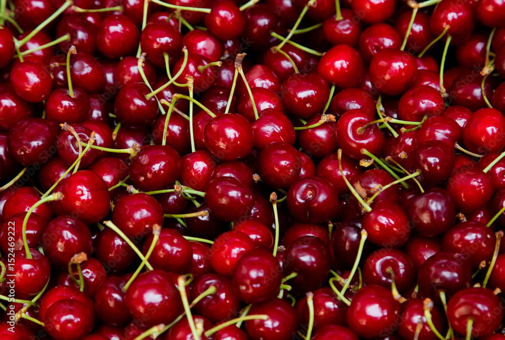 Background from fresh cherries with a twig Background from fresh cherries with a twig