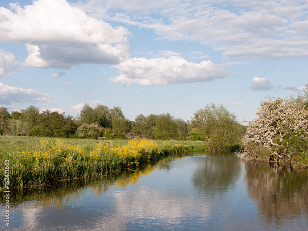 an incredible river running through the country location and landscape outside in the country with reflections in the lake and lots of color on a summer afternoon in essex uk england and no people