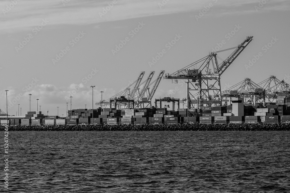 Cranes in Long Beach