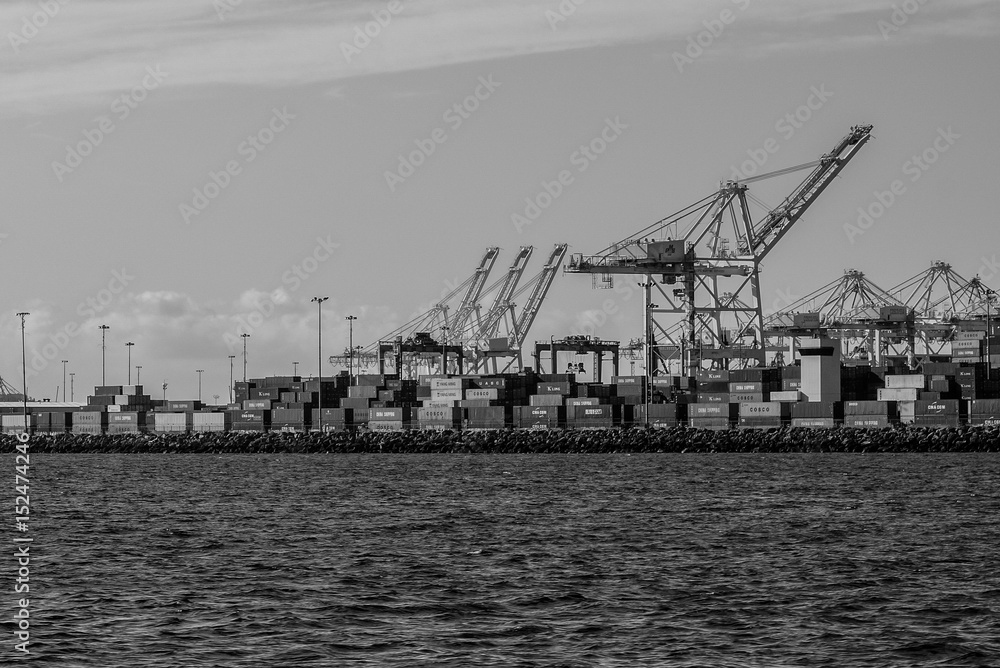 Obraz premium Cranes in Long Beach