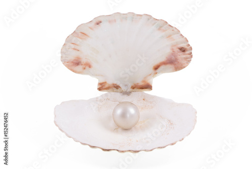 Open seashell with pearl on white isolated background