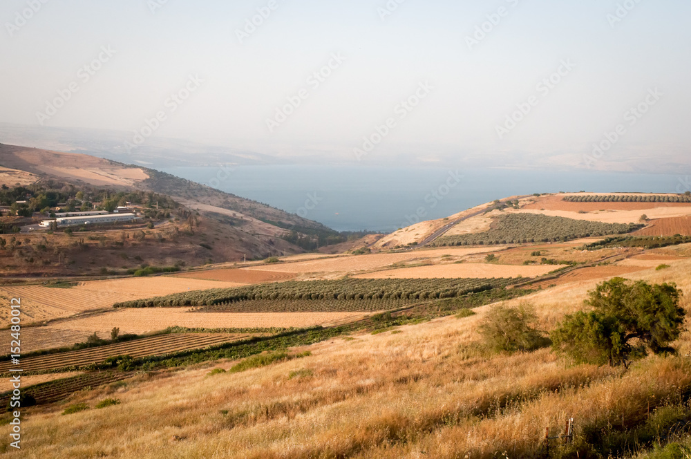 Agriculture valley on the shore of the Sea of Galilee ( Kineret ).