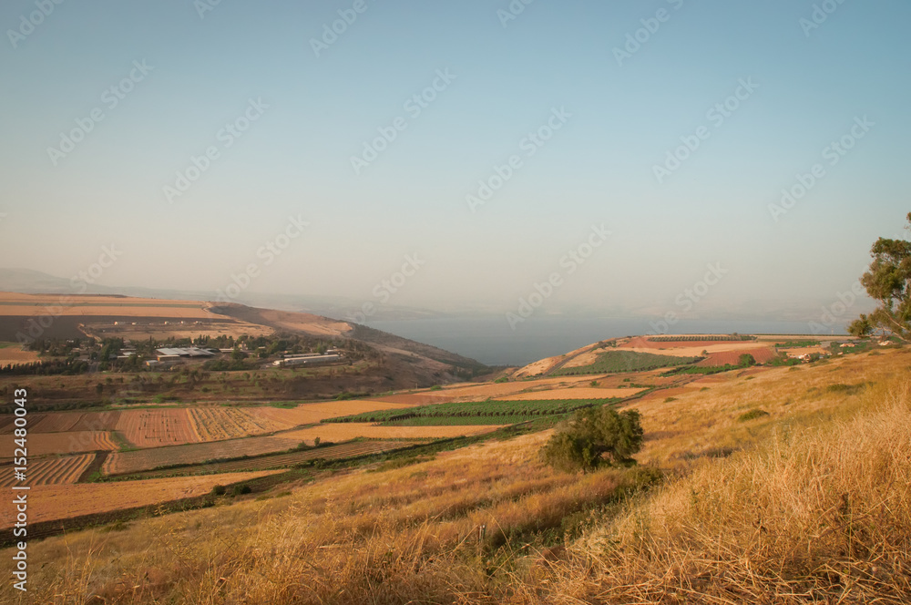 Agriculture valley on the shore of the Sea of Galilee ( Kineret ).