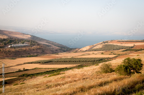 Agriculture valley on the shore of the Sea of Galilee ( Kineret ). © LarisaP