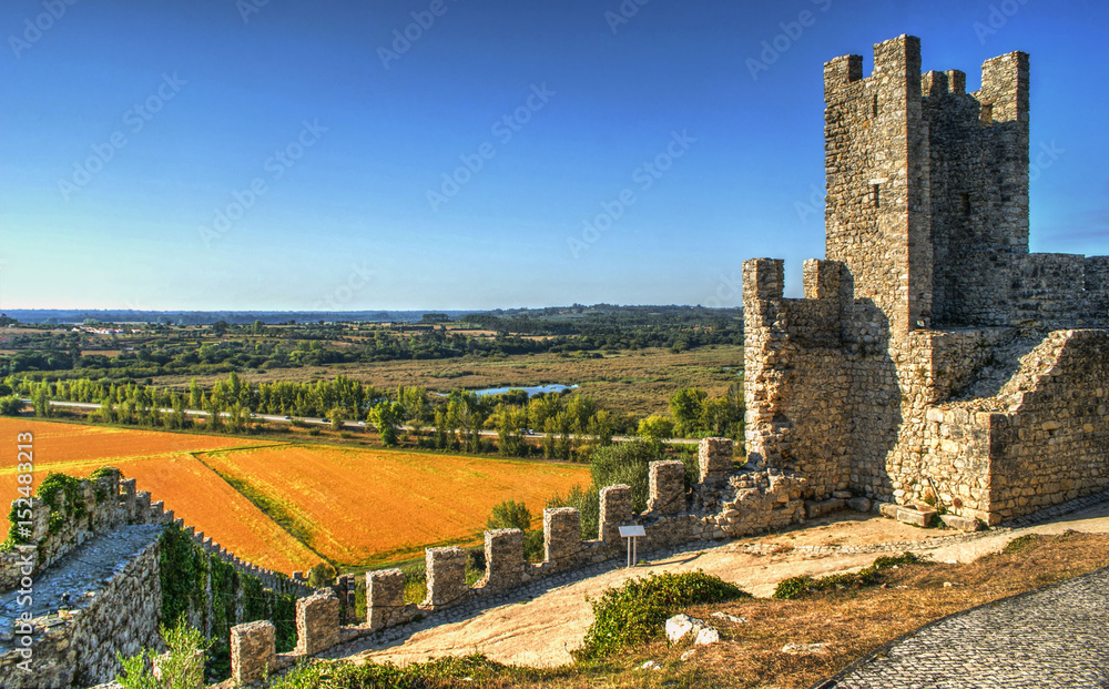 Ruined castle of Montemor-o-Velho, Portugal