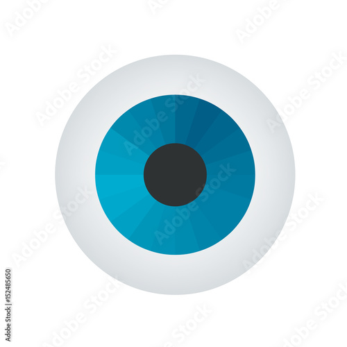 Eyeball on white background. Vector illustration.