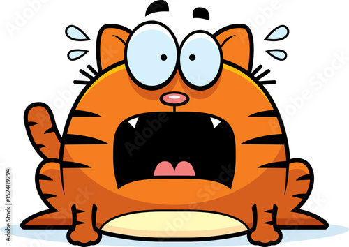 Terrified Little Cat