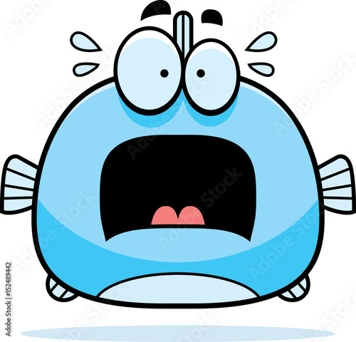 Scared Little Fish