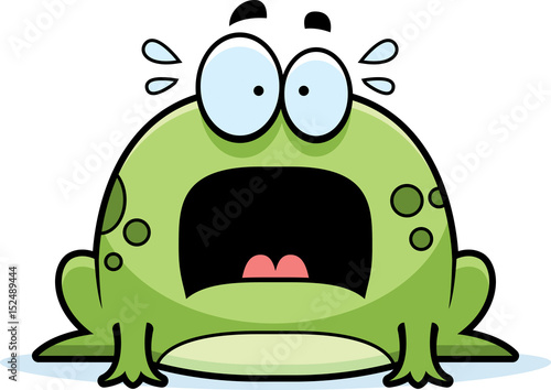 Scared Little Frog