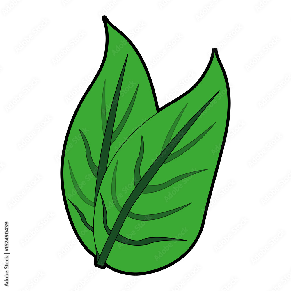 leaf or leaves icon image vector illustration design leaf or leaves icon image vector illustration design