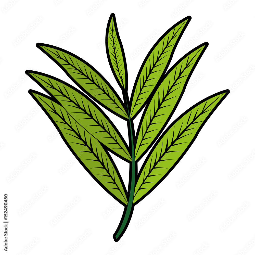 leaf or leaves icon image vector illustration design leaf or leaves icon image vector illustration design
