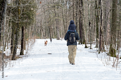 Man hiking on nature trail