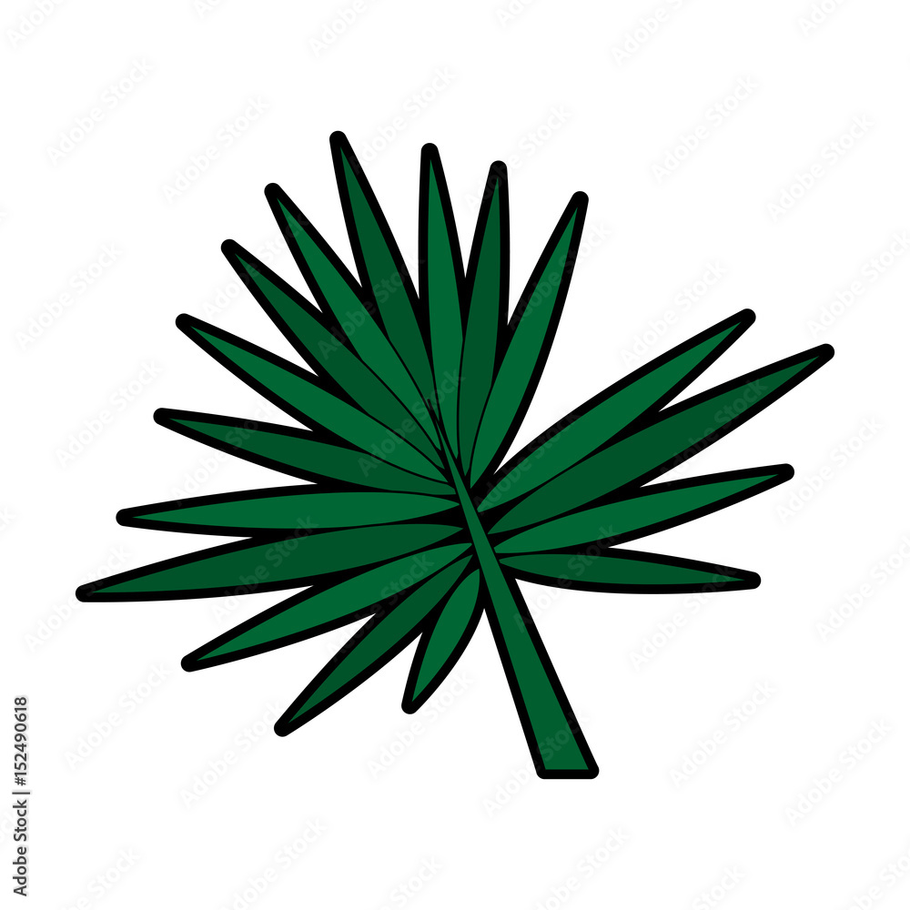 leaf or leaves icon image vector illustration design leaf or leaves icon image vector illustration design