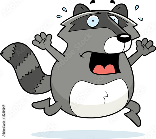 Raccoon Panic