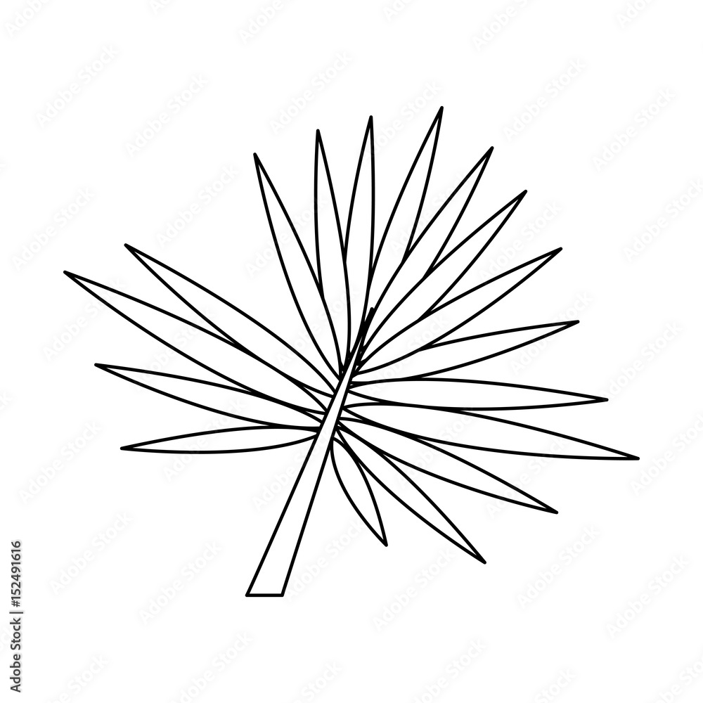 Fototapeta premium leaf or leaves icon image vector illustration design single black line