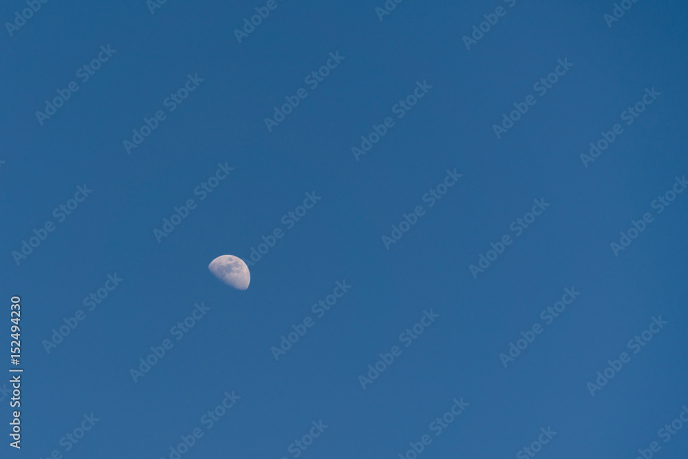 Half moon rising in a day blue sky Half moon rising in a day blue sky