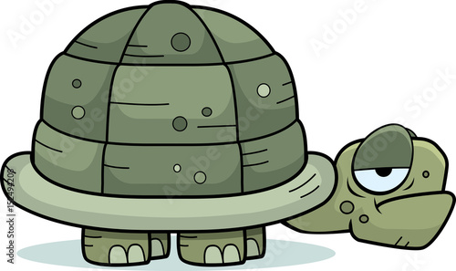 Cartoon Turtle