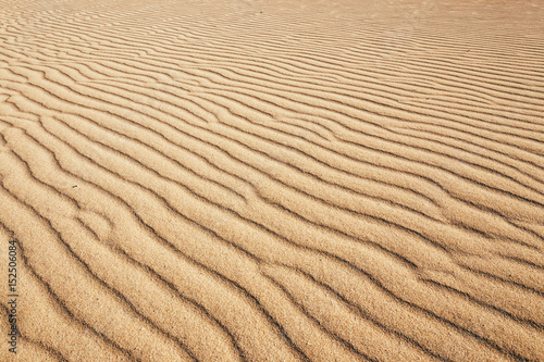 Fototapeta Naklejka Na Ścianę i Meble -  Lines in the sand of a beach, close up