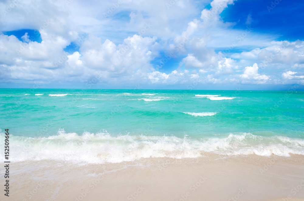 Fototapeta premium Miami tropical beach, blue sky and ocean, Florida, USA