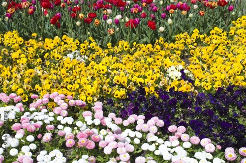 Fototapeta Naklejka Na Ścianę i Meble -  Frühling