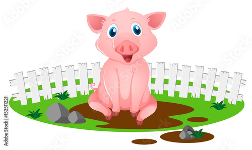 Little pig in muddy puddle