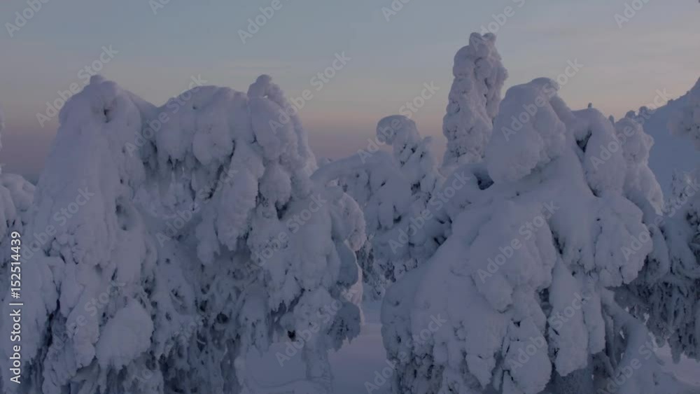 custom made wallpaper toronto digitalWinter wonderland  