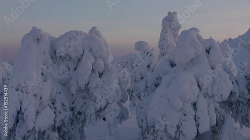 Wallpaper Mural Winter wonderland   Torontodigital.ca