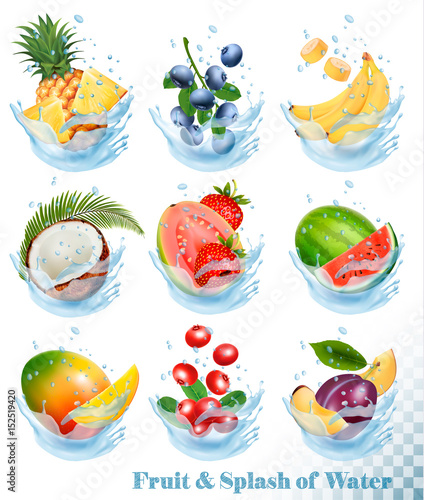 Fototapeta Naklejka Na Ścianę i Meble -  Big collection of fruit in a water splash. Pineapple, mango, banana, pear, watermelon, blueberry, guava, strawberry, coconut, grawberry, raspberry. Vector Set