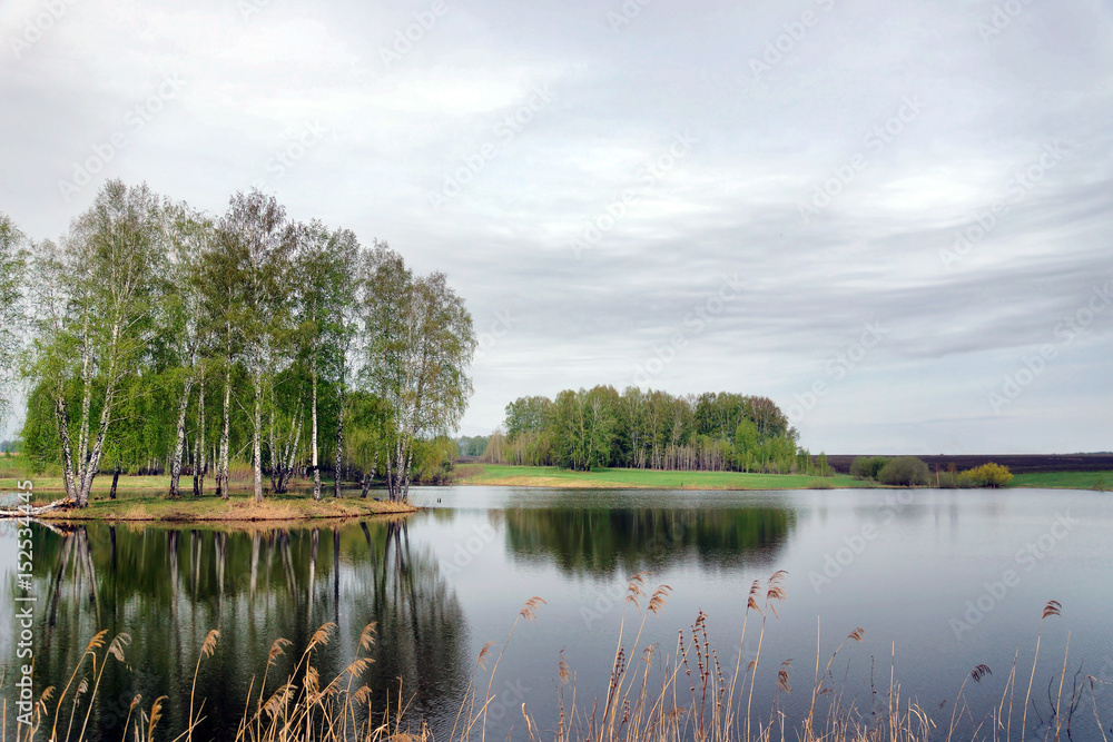 Obraz premium Beautiful landscape with a lake and birch trees in gloomy day in springtime