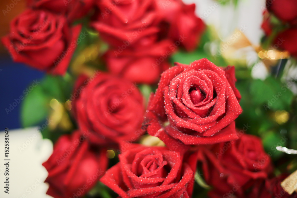 Bouquet of roses. Bouquet of roses.